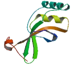 Sulfiredoxin 1 (SRXN1)