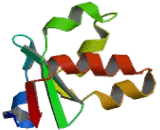 Sulfite Oxidase (SUOX)