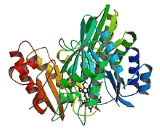 Sulfite Reductase (SiR)