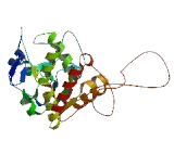 Sulfotransferase Family 1A, Member 4 (SULT1A4)