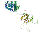 Superkiller Viralicidic Activity 2 Like Protein 2 (SKIV2L2)