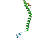 Suppression Of Tumorigenicity 13 (ST13)