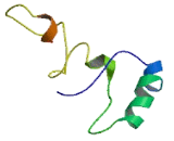 Suppression Of Tumorigenicity 20 (ST20)