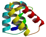 Suppression Of Tumorigenicity 7 (ST7)