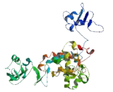 Suppressor Of Actin Mutations 1 Like Protein (SACM1L)