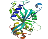 Suppressor Of Fused Homolog (SUFU)