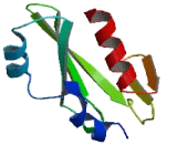 Suppressor Of Ty 6 Homolog (SUPT6H)