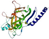 Suppressor Of Variegation 3-9 Homolog 2 (SUV39H2)