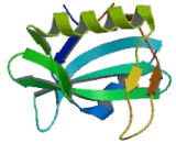 Suppressors Of Cytokine Signaling 7 (SOCS7)