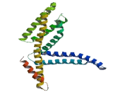 Suprabasin (SBSN)