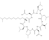 Surfactin (SFT)