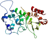 Survival Of Motor Neuron Protein Interacting Protein 1 (SIP1)