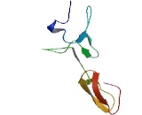 Sushi Domain Containing Protein 1 (SUSD1)