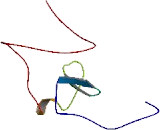 Sushi Domain Containing Protein 2 (SUSD2)