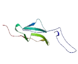 Sushi Domain Containing Protein 3 (SUSD3)