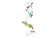 Sushi Domain Containing Protein 4 (SUSD4)