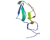 Sushi Repeat Containing Protein, X-Linked (SRPX)