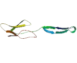 Sushi Repeat Containing Protein, X-Linked 2 (SRPX2)