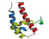 Synapse Associated Protein 1 (SYAP1)