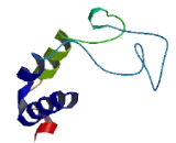 Synapse Differentiation Inducing Protein 1 (SYNDIG1)