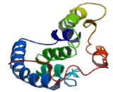 Synaptic Vesicle Glycoprotein 2C (SV2C)