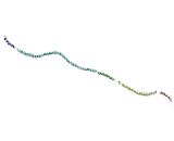 Synaptonemal Complex Central Element Protein 1 (SYCE1)