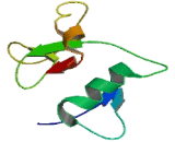 Synaptonemal Complex Central Element Protein 3 (SYCE3)