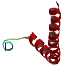 Synaptosomal Associated Protein 29kDa (SNAP29)