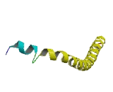 Synaptosomal Associated Protein 47kDa (SNAP47)