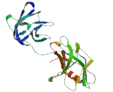 Synaptotagmin IX (SYT9)