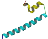 Synaptotagmin Like Protein 1 (SYTL1)