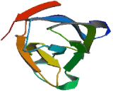 Synaptotagmin XIV Like Protein (SYT14L)