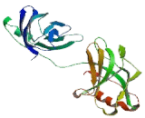 Synaptotagmin XV (SYT15)