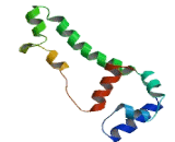 Synembryn B (SYNB)