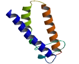 Syntabulin (SYBU)