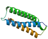 Syntaxin 10 (STX10)