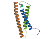 Syntaxin 12 (STX12)