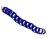 Syntaxin 8 (STX8)