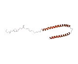 Synuclein (SNC)