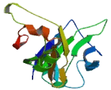 T-Cell Activation Antigen, Increased Late Expression (TACTILE)