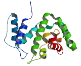 T-Cell Activation Rho GTPase Activating Protein (TAGAP)