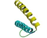 T-Cell Acute Lymphocytic Leukemia Protein 1 (TAL1)