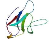 T-Cell Immunoreceptor With Ig And ITIM Domains Protein (TIGIT)