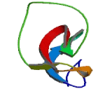 T-Cell Leukemia Homeobox Protein 1 (TLX1)