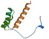 T-Cell Leukemia Homeobox Protein 3 (TLX3)