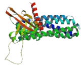 T-Cell Lymphoma Invasion And Metastasis Inducing Protein 2 (TIAM2)