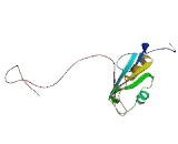 T-Cell Restricted Intracellular Antigen 1 (TIA1)