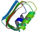 T Complex Associated Testis Expressed Protein 1 (TCTE1)