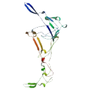 T Complex Protein 10 (TCP10)