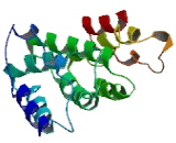 T Complex Protein 10 Like Protein (TCP10L)